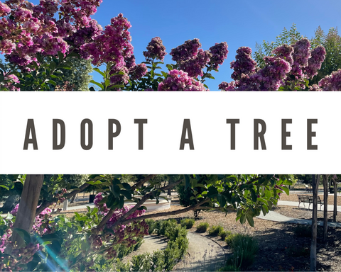 Adopt-A-Tree